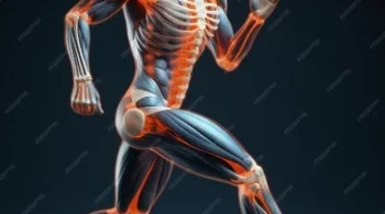 Anatomy, Movement, Gear Trains, Enhance Your Body's Movement
